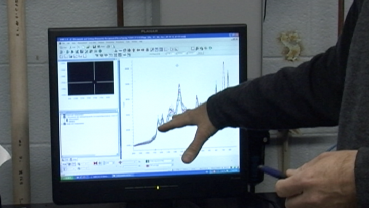 UGA professors receive more than 1 million dollars for research