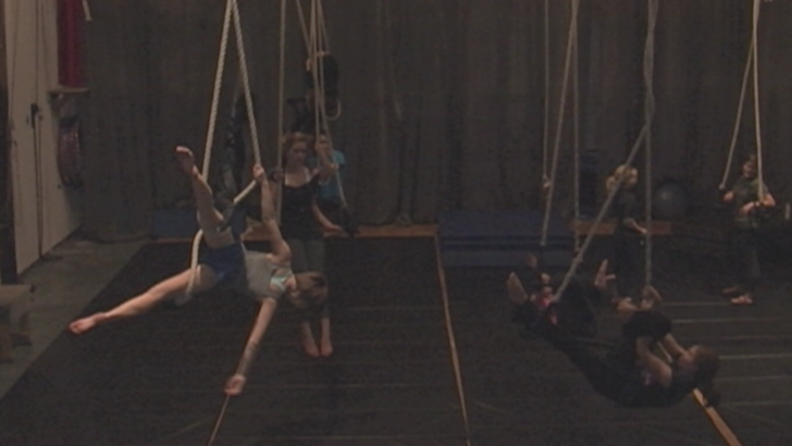 Canopy Trapeze Studio