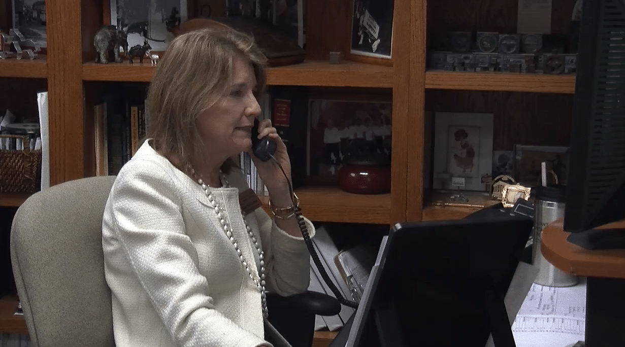 A Day In The Life: Supervisor of Elections