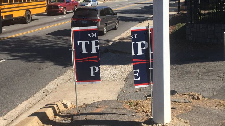 Campaign Signs Vandalized in Athens
