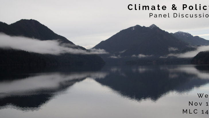 Addressing Climate Change after the Election