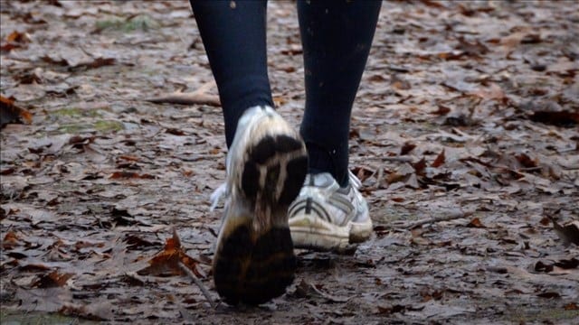 Long-Awaited Firefly Trail Takes First Steps in Athens