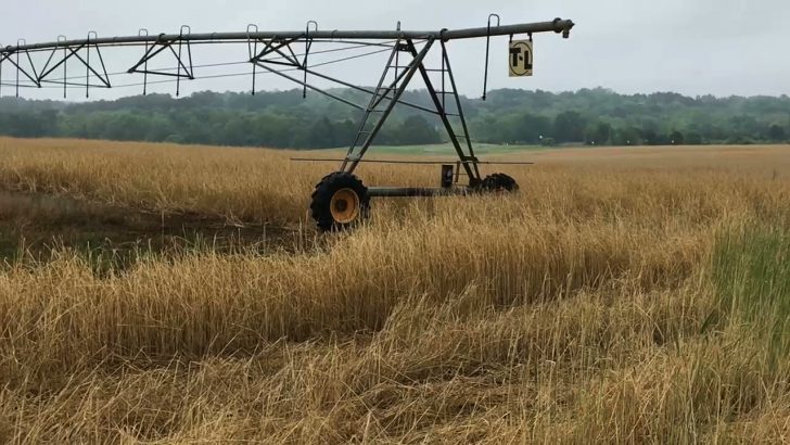 UGA researchers concerned about far reaching effects of climate change