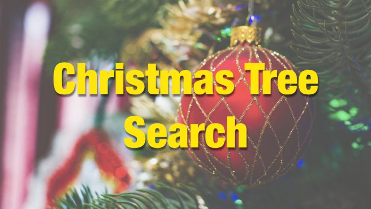 Athens-Clarke County Searches for City Hall Christmas Tree