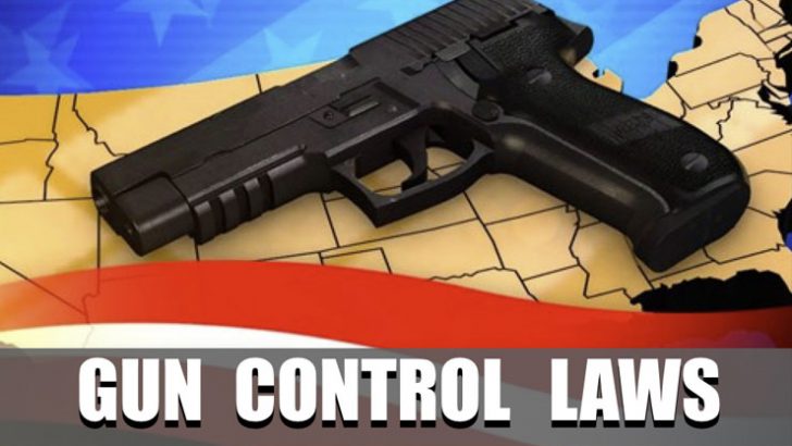 Grady Explains: Georgia Gun Laws
