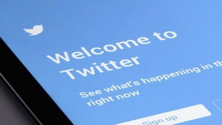 Hundreds of “egg accounts” tweeted support for viral #ReleaseTheMemo campaign