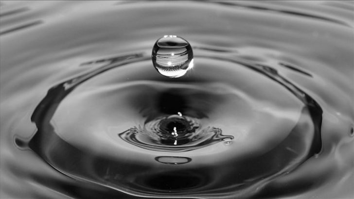 World Water Day: How to Save Water