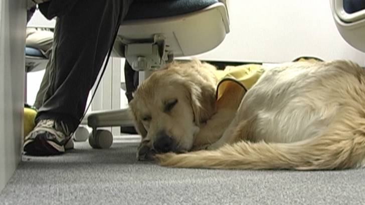 Pets Help Manage Mental Illness