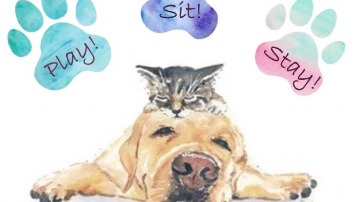 Dog Days of Finals- Where you can take your pet during finals week.