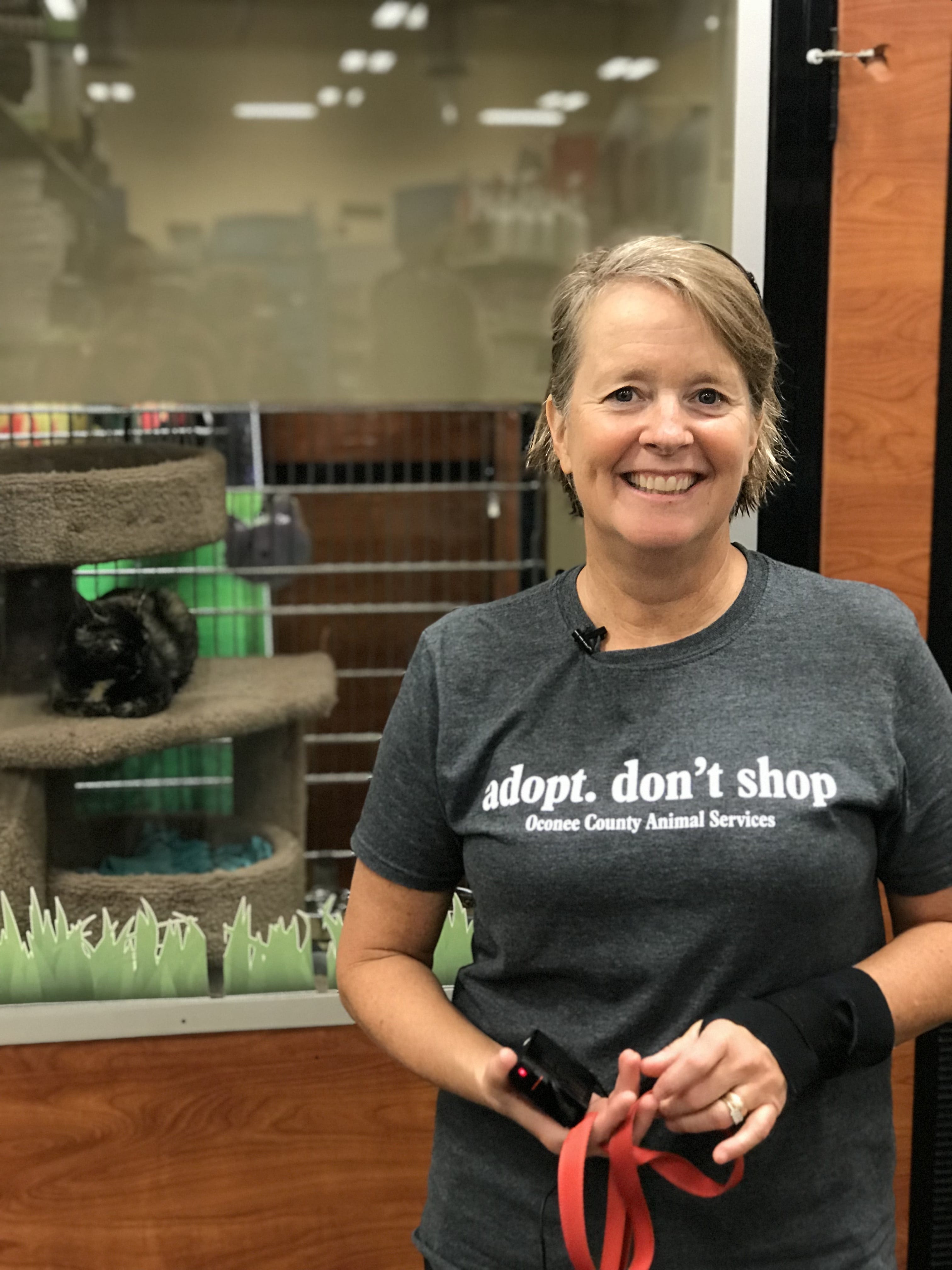 National Adoption Weekend Could Help Pets Find Homes