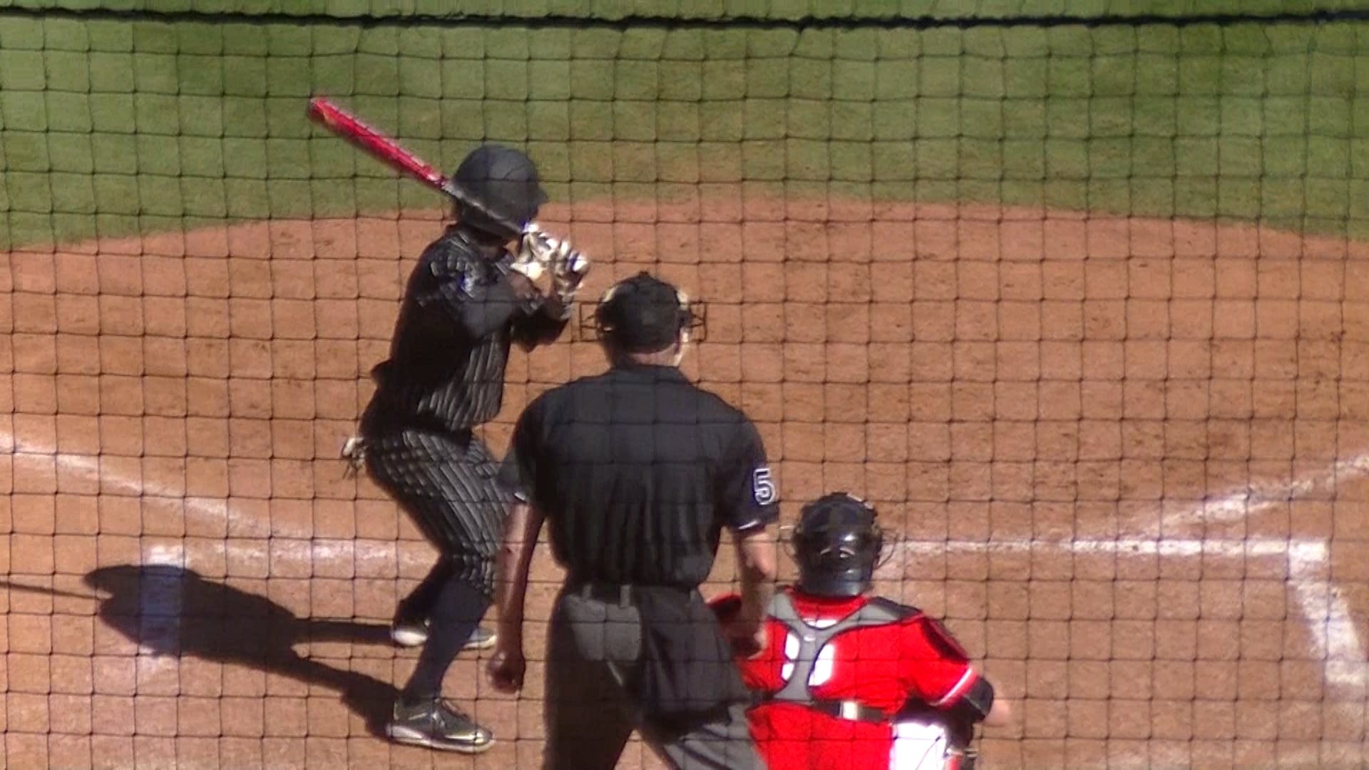 UGA Baseball Preps for Clemson — Grady Newsource