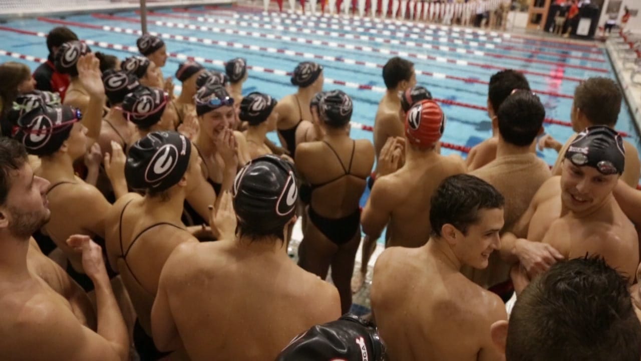 Georgia Swimming Diving Teams Defeat Georgia Tech Grady Newsource