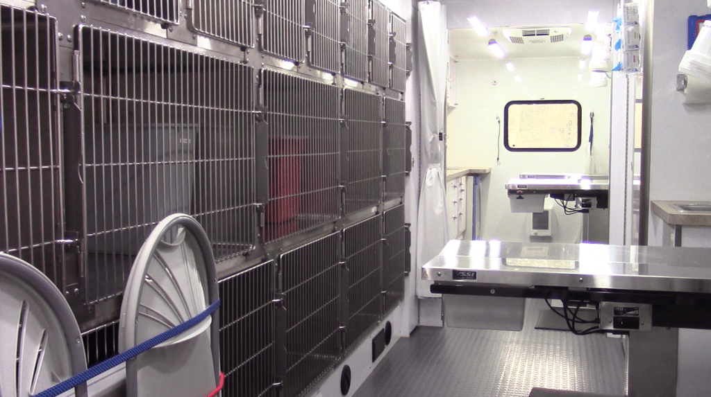 Neuter Commuter Program to Aid Athens Animal Populations — Grady Newsource