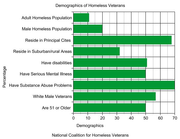 National Demographics for Homeless Veterans 