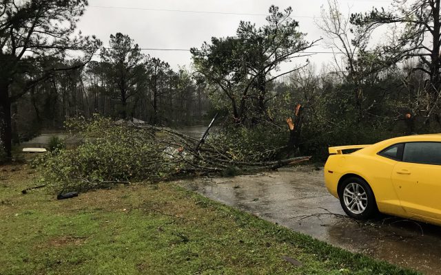 Tornado damage in the Beauregard, Alabama area. (Photo Courtesy/Chere Smith)