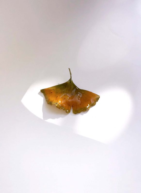 An ingredient to Lenny Murr’s accessory created with resin and nature. This one is his Gingko Earring. (Photo Courtesy/Lenny Murr)