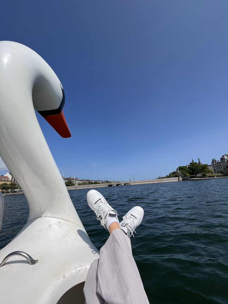 View from a swan rental boat at The Lakes in Copenhagen (Morgan Quinn / Photo)