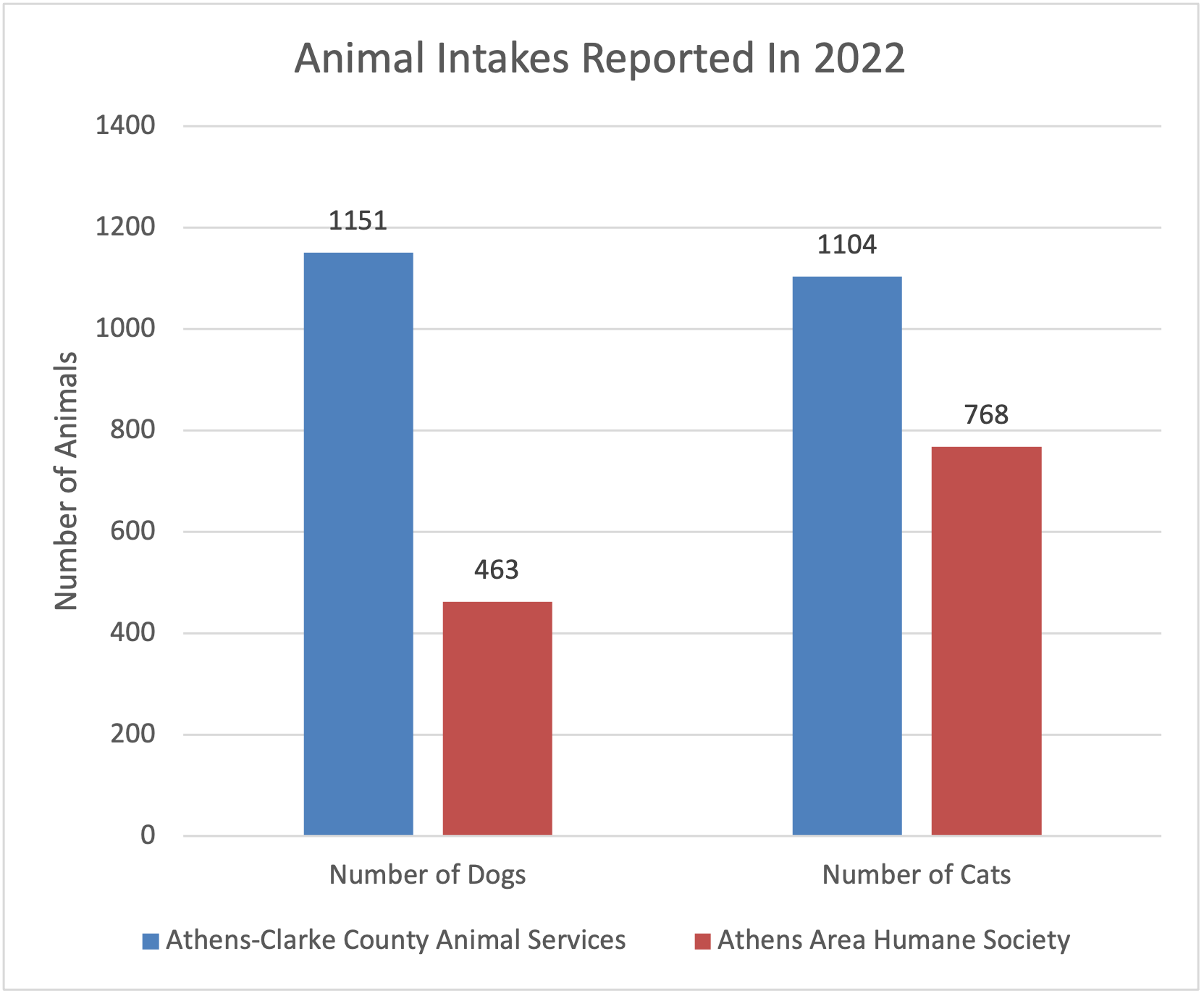 A chart that shows the number of animal intakes reported by Athens-Clarke County Animals Services and Athens Area Humane Society in 2022. Animals Services reported 1151 dogs and 1104 cats while Athens Area Humane Society reported 463 dogs and 768 cats.