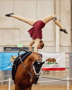 An equestrian vaulter performs during a competition.