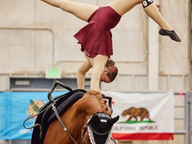 An equestrian vaulter performs during a competition.