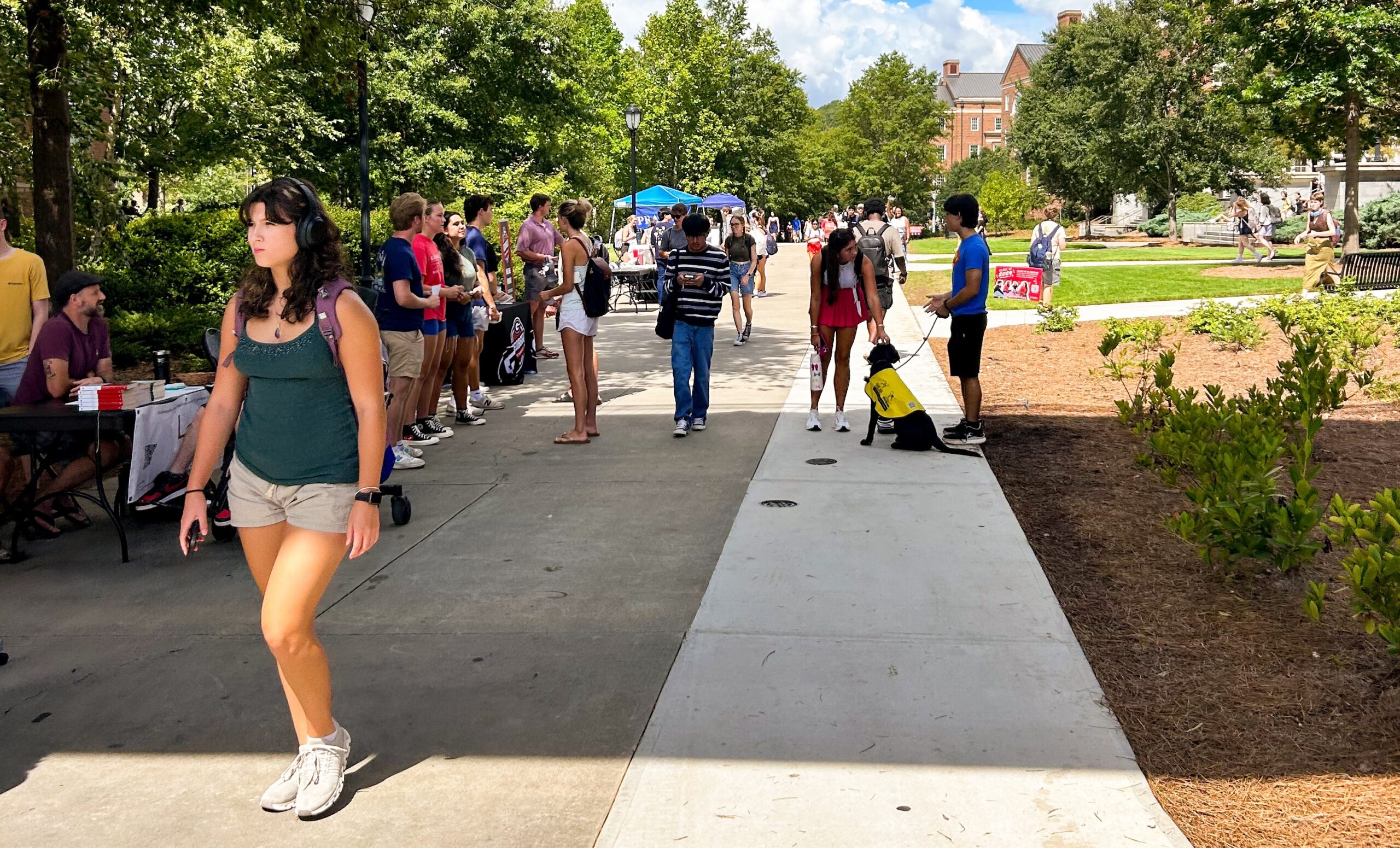 Students walk on UGA campus