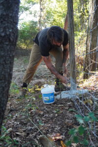 A person in brown pants and a black shirt repairs a wire fence outdoors, securing it to a wooden post. A white bucket labeled animal repellent sits on the ground among leaves and plants.