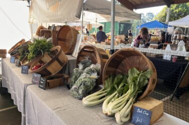 A farmers market stall displays wooden baskets filled with fresh greens, radishes, and bok choy on a table with a gray cloth. Signs label the produce as shoppers browse this vibrant market and other nearby booths under tents.