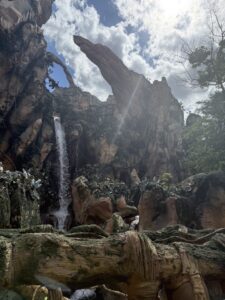 A waterfall at Animal Kingom