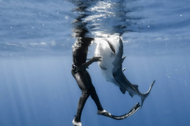 Man with scuba gear is next to shark in the ocean