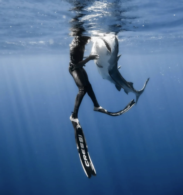 Man with scuba gear is next to shark in the ocean