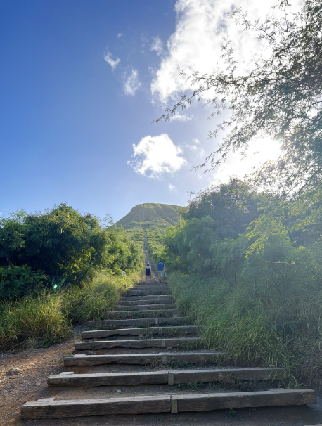 Stairs leading up a green, lush mountain