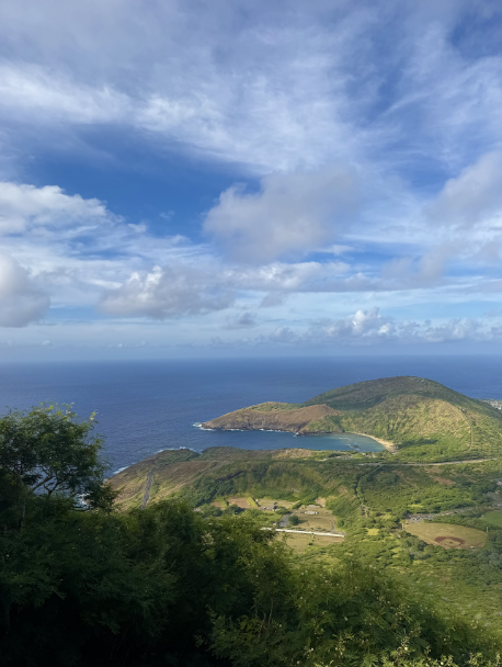 Landscape with ocean and green hills