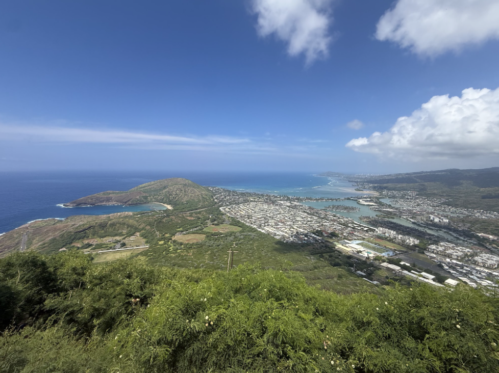 view of ocean and lush forests on Hawai'i