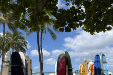 surfboards stacked vertically in groups on a beach