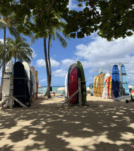 How Kona Low Storm Brought Hawaii's Surf Tourism to a Halt — Grady