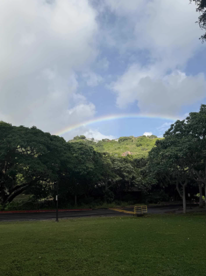 Rainbow in the sky over a forest