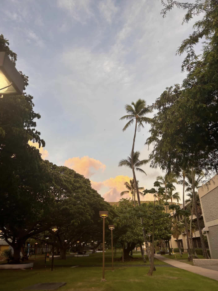 Outside scene with palm trees and buildings