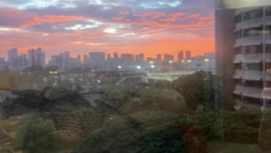 A pink sunset out of the high-rise dorm of a University of Hawaii window