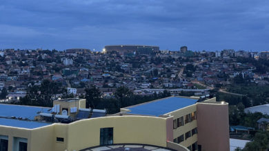 The tops of buildings are seen against a low city skyline