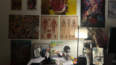 Wall decorated with film posters, science posters, and finished puzzles.