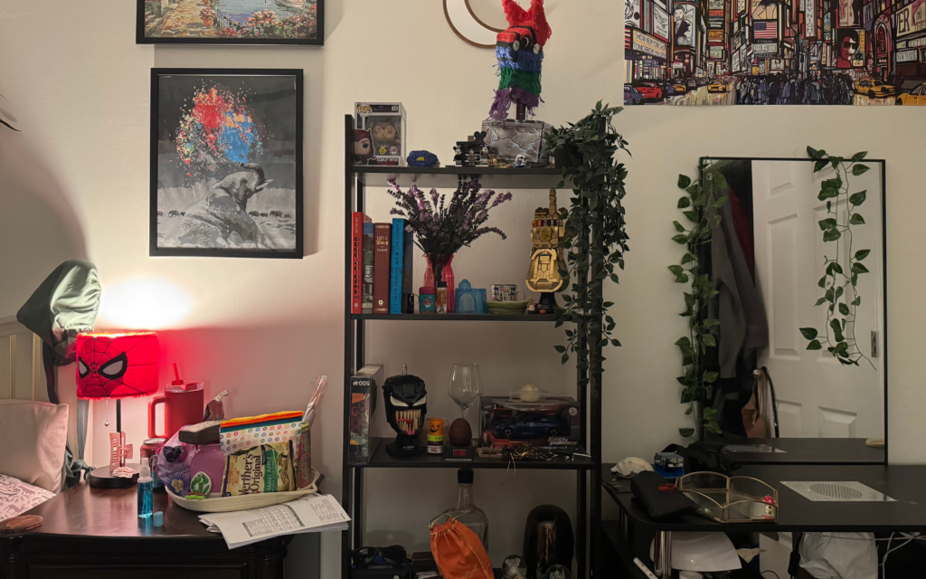 A shelf displaying items of sentimental value, interests, and memories.
