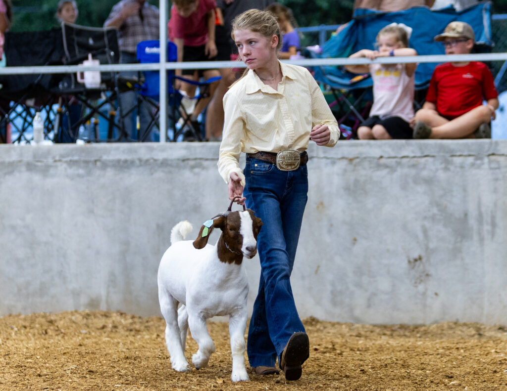 a young woman showing a goat around a ring