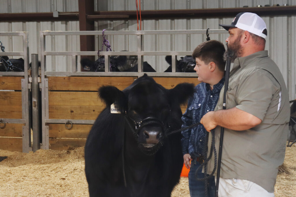 A man and a boy stand in a show ring beside a black cow