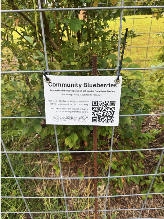 Sign showing the Community Blueberry gardens present in Forest Heighs. Includes a QR code.