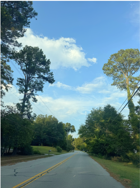 A street view of Forest Heighs, with trees surrounding each side of the road.